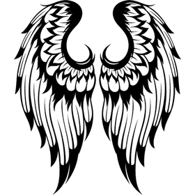 Переводные татуировки "Черно-белые крылья"